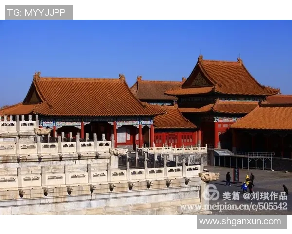 北京排球队实力解析：从历史辉煌到现状展望的全面剖析